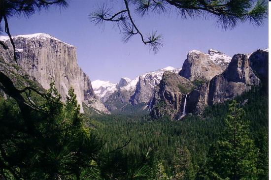 why-we-go-to-yosemite.jpg