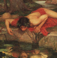 190px-narcissus_cropped.jpg