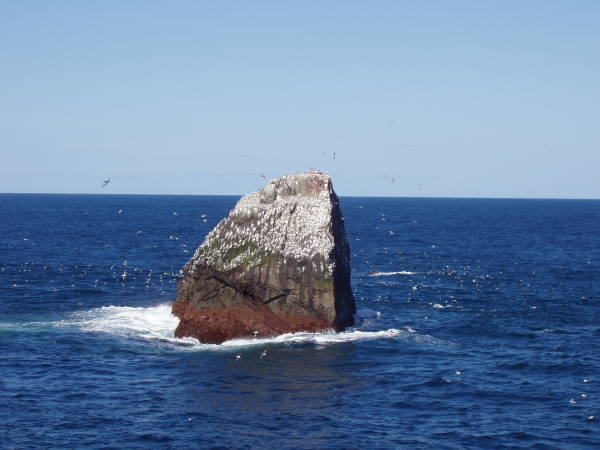 Rockall-photo.JPG