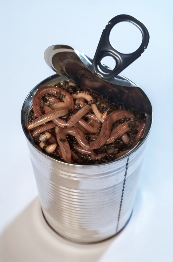 istock_can-of-worms.jpg