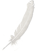 feather.jpg