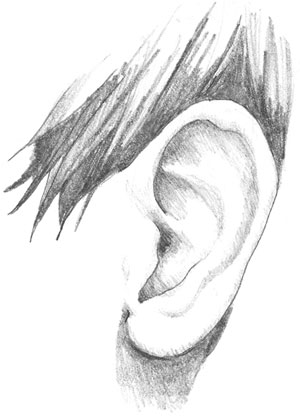 ear_drawing_1.jpg