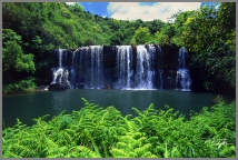 A15_Secluded%20Hawaiian%20Waterfall_210.jpg