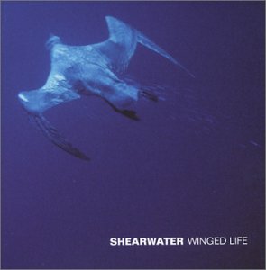 shearwater.jpg