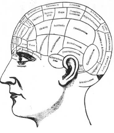 phrenology.jpg