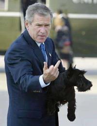 bush-finger-thumb.jpg