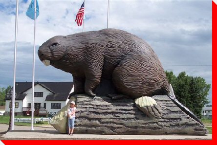 beaverlodge.jpg