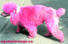 pink_poodle.gif