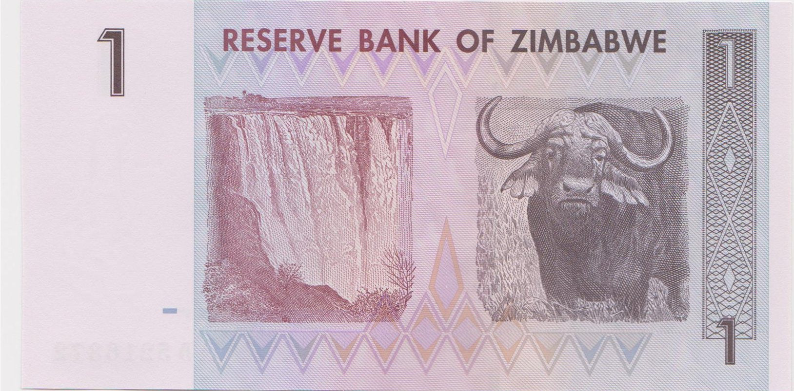 zimbabwe-banknotes-one-dollar-back.jpeg