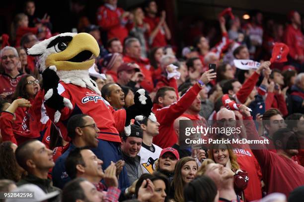 washington-capitals-mascot-slapshot-cheers-during-the-third-period-between-the-pittsburgh.jpg