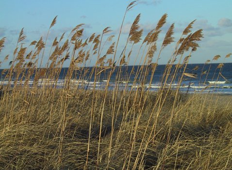 cape-cod-national-seashore.jpg