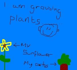 my plants.jpg