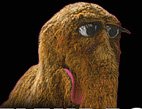 snuffleupagus.jpg