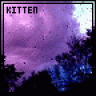kitten84
