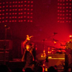U2_Concert_031