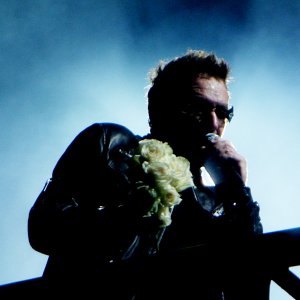Bono_flowers