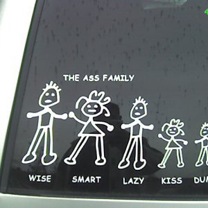 Ass_Family