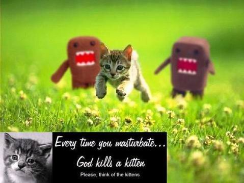 God Kills Kitten