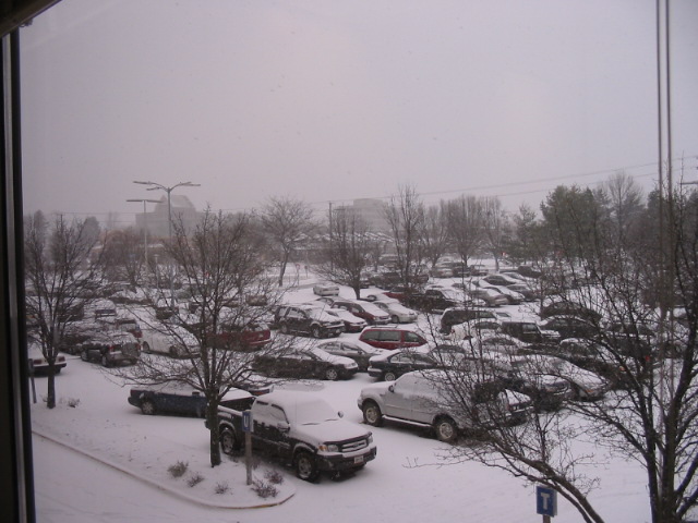 Snow in Merrifield Virginia
