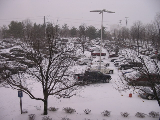 Snow in Northern Virginia