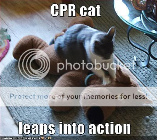 funny-pictures-cpr-cat.jpg
