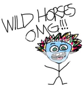 wildhorses.jpg