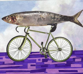 Like-A-Fish-Needs-A-Bicycle.jpg