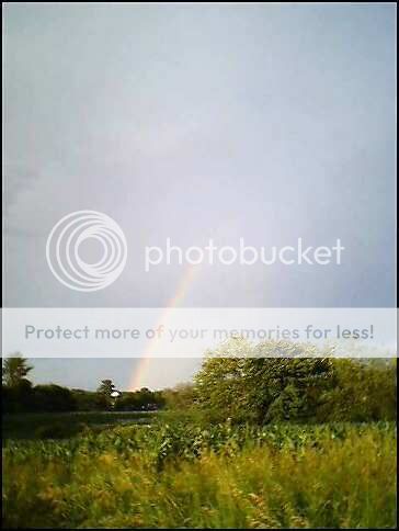 rainbow_3.jpg