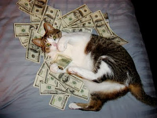 rich+cat.jpg