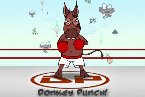 Donkey-Punch-1.jpg