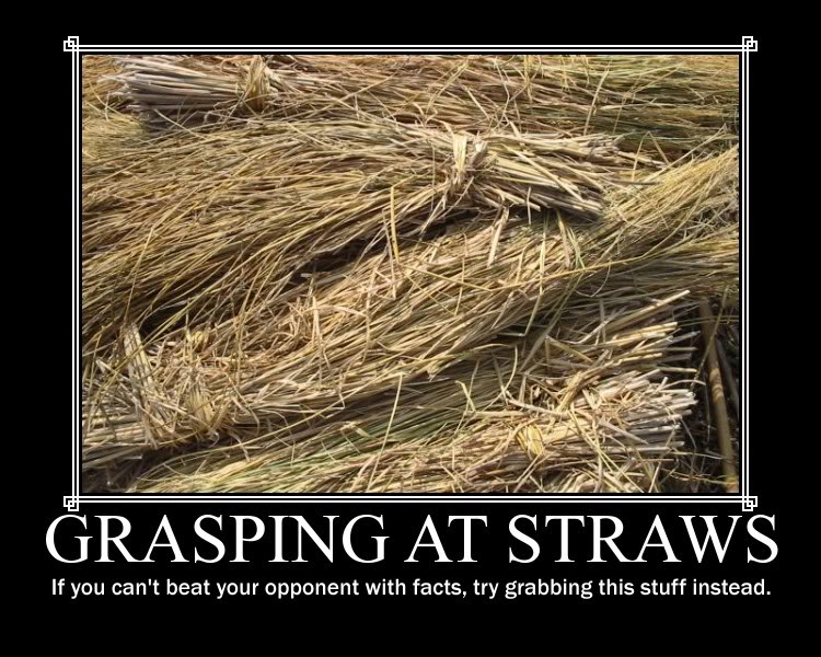 grasping-at-straws1.jpg