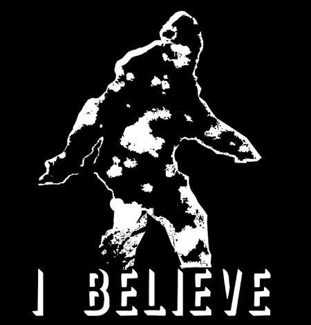bigfoot-sasquatch-paranormal-i-believe-ufo-tee-shirt-black.jpg