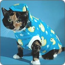 cats-pajamas.jpg