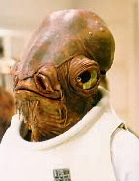 ACKBAR2.JPG