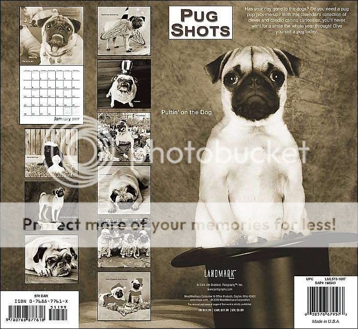 pugshotscalendar2.jpg