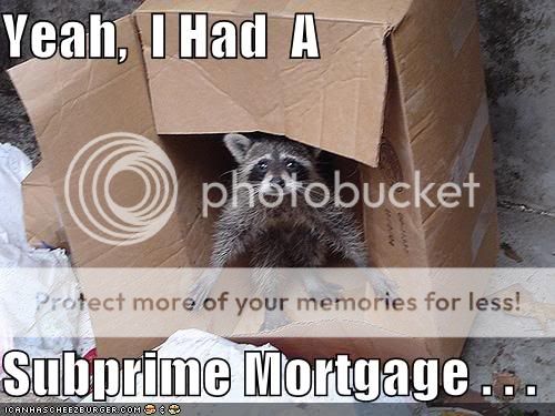 funny-pictures-raccoon-subprime-mor.jpg