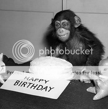 HappyBirthdayChimp.jpg