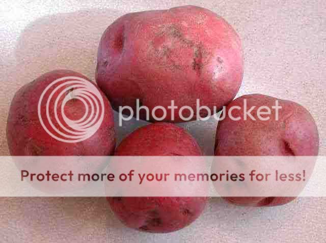 i-potatoes-red.jpg