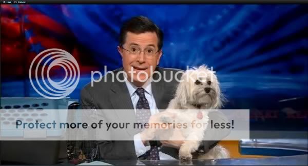 StephenColbert19.jpg