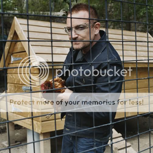 _img_Bono20chicken.jpg