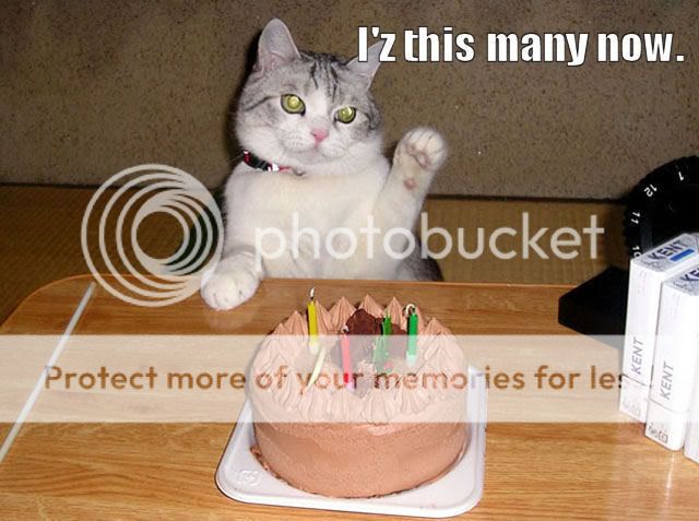 BirthdayCat.jpg