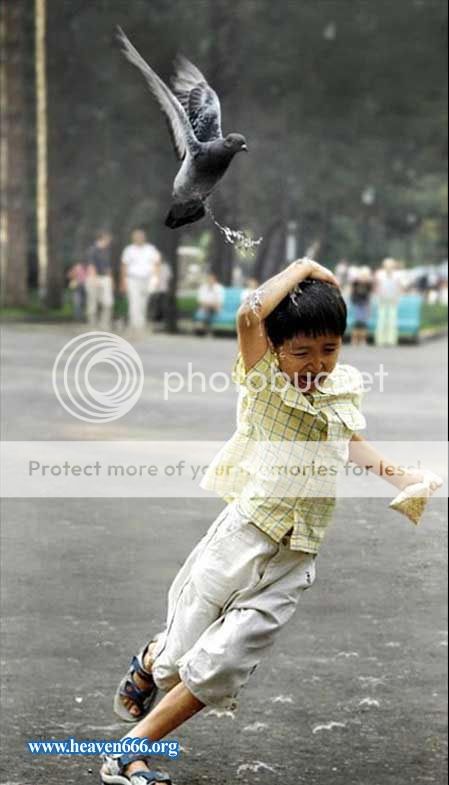 bird-punishment.jpg