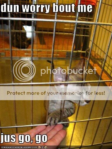 funny-pictures-prisoner-cat-will-le.jpg