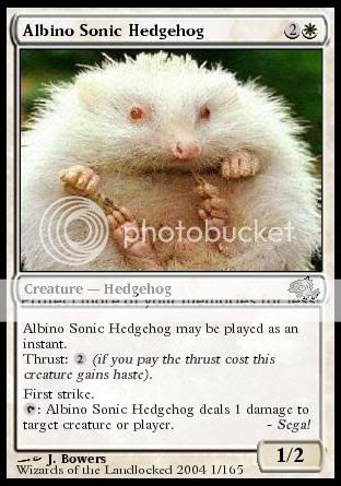 Albino_Sonic_Hedgehog1.jpg