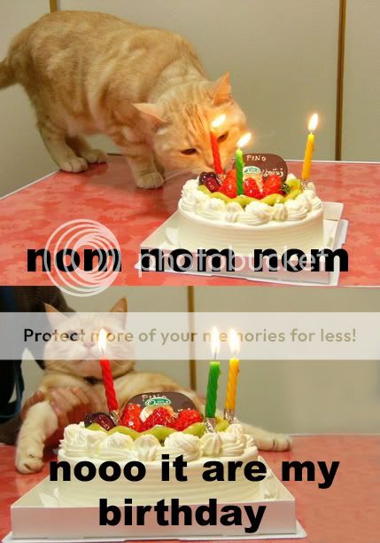 birthdaycat.jpg