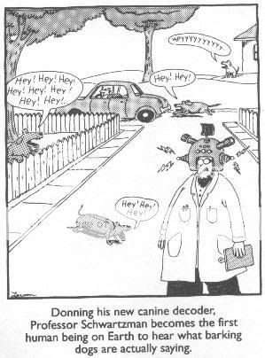 farsidedogs.jpg