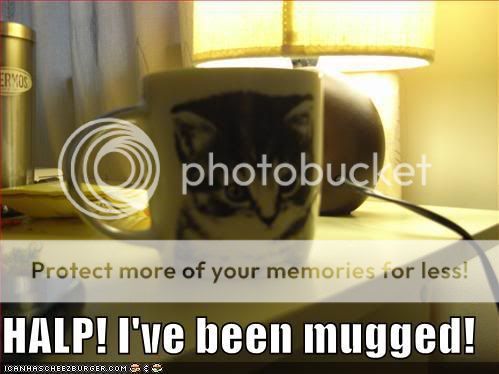 funny-pictures-cat-mug.jpg