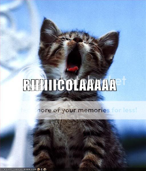 funny-pictures-ricola-cat.jpg