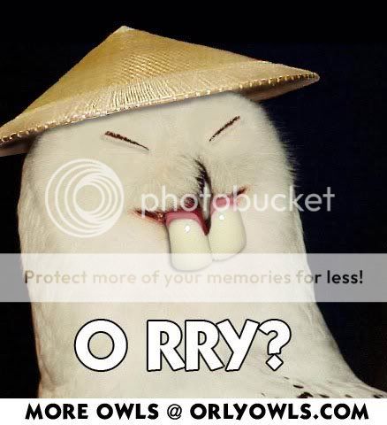 orryasian-full.jpg