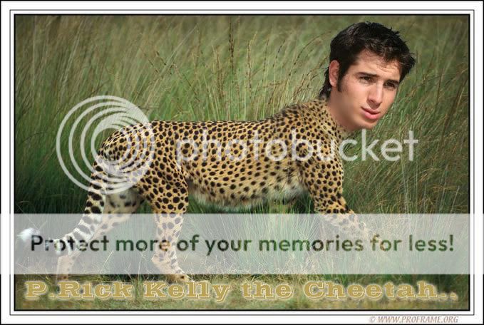 cheetah-kelly.jpg